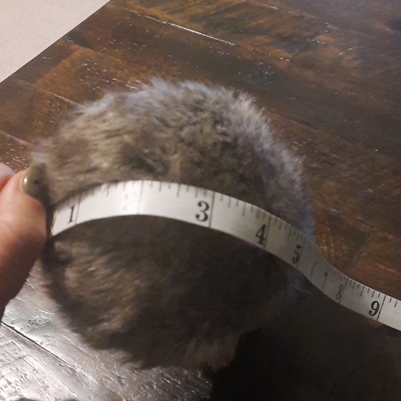 Ear muffs - Picture 4 of 4